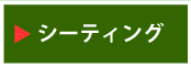 �V�[�e�B���O